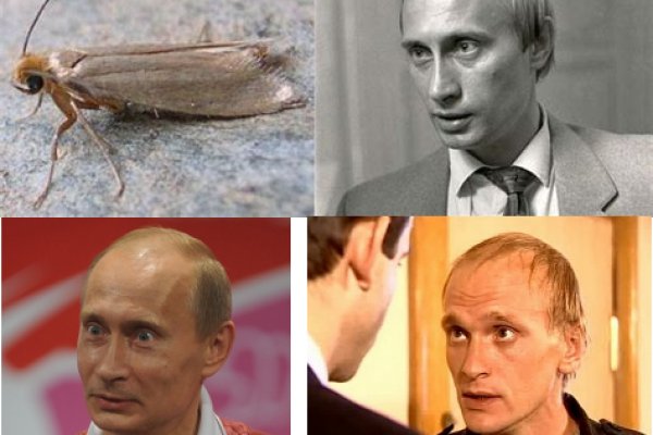 Ссылка официальный сайт кракен